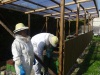 Bienenstand in Roggentin