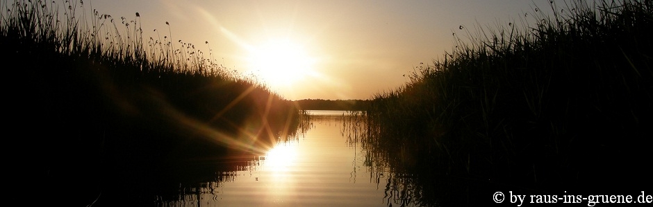 Abenddämmerung