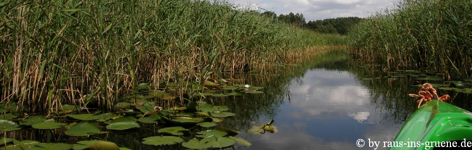 auf der Havel