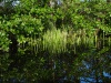 Zwischen Blankenförde und Ziertzsee