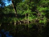 Zwischen Blankenförde und Jäthensee