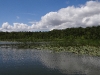 Sommerstimmung auf dem Wasser