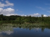 Sommerstimmung auf der Havel